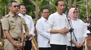 Jokowi: Pembangunan IKN Ciptakan Titik Pertumbuhan Ekonomi Baru