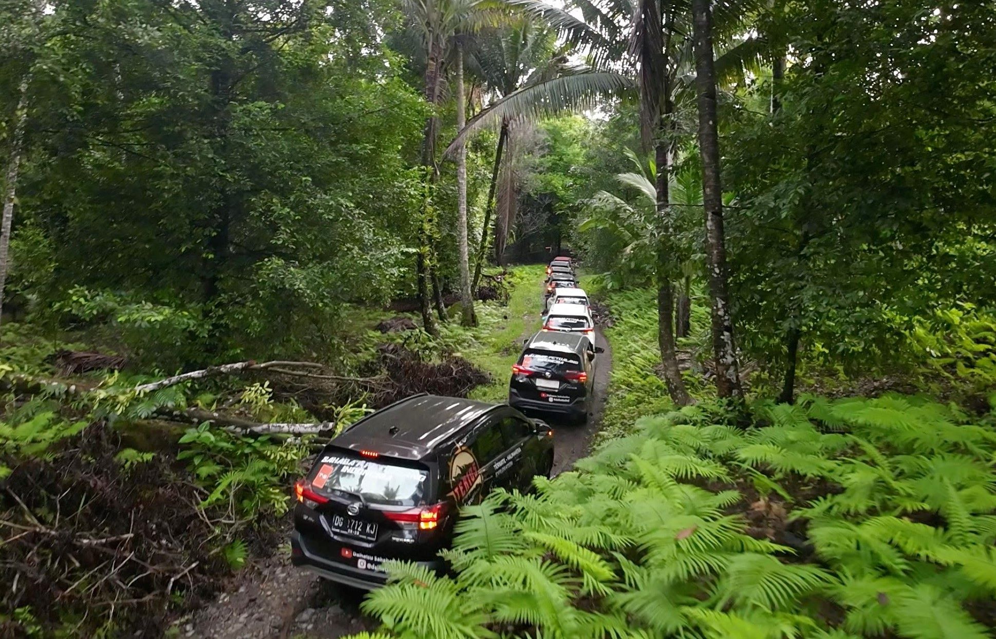 Tim Ekspedisi Terios 7 Wonders Menelusuri Hutan Di Halmahera