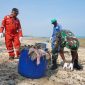Pertamina Peduli Kesehatan dan Lingkungan di Tuban Laksanakan Coastal Clean Up dan Bina Posyandu