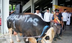 berita-pilihan-foto