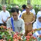 Panen Raya Kopi Ijen, Wapres Dukung Peningkatan Produktivitas, Hilirisasi Dan Branding Kopi Indonesia