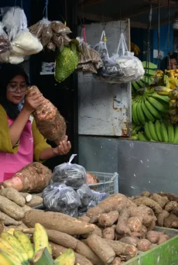 berita-rekomendasi-foto