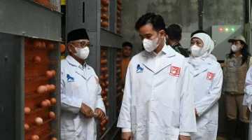 Tinjau Peternakan Ayam Petelur, Wapres Dorong Inovasi Dan Digitalisasi Sentra Telur Blitar