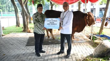 Wapres Gibran Salurkan Hewan Kurban Sapi Limousin Di Masjid Istiqlal