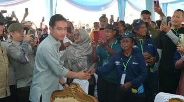 Wapres Ajak Anak Muda Banyuasin Jadi Motor Inovasi Pertanian