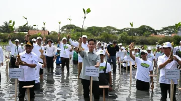 Tanam Mangrove di Banten, Wapres Dorong Penguatan Ekosistem Pesisir Berkelanjutan